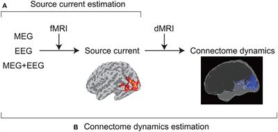 MEG Source Imaging and Group Analysis Using VBMEG